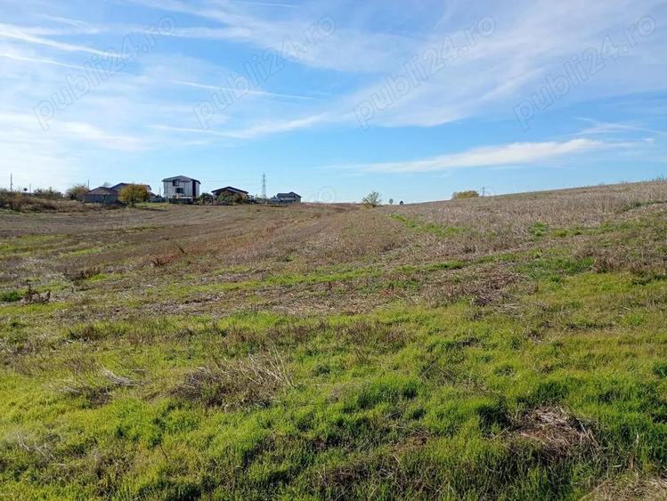 Teren 6.000 mp in Peri?, aproape de Bucure?ti ideal pentru locuin?a sau investi?ie - 5