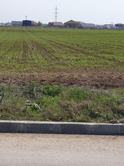 Teren Construcții intravilan de 10000 mp, în Dobroești