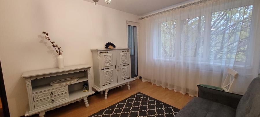 Apartament cu 2 camere semidecomandat în Timișoara