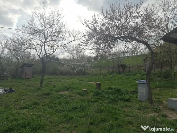 Casă cu 3 camere în Sânmihaiu Almașului