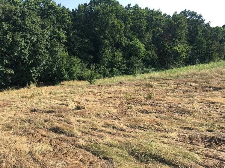 Teren de 900 mp, în Brănești