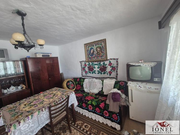 Casă individuală cu 3 camere cu Teren 5653 Mp în Mogoș
