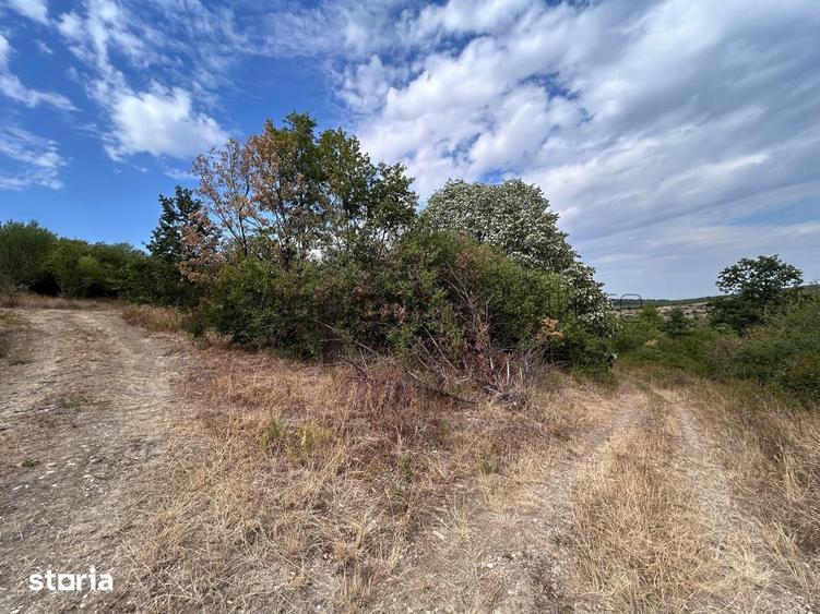 Teren de 4316 mp, în Sântandrei