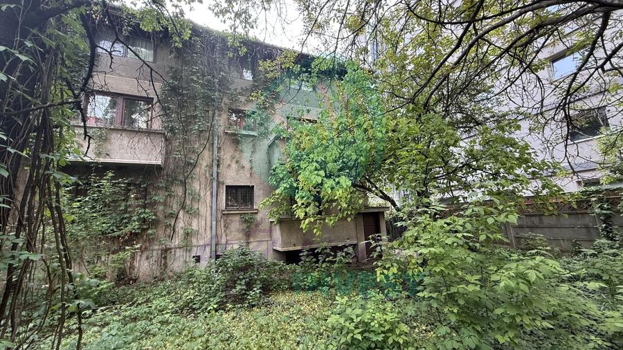 Parter vilă + demisol | Aviatorilor – Herăstrău | Grădină - 1