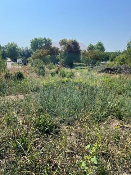 Teren de vanzare / 2,500 mp pe Malul Lacului Tancabesti /Ilfov - 8