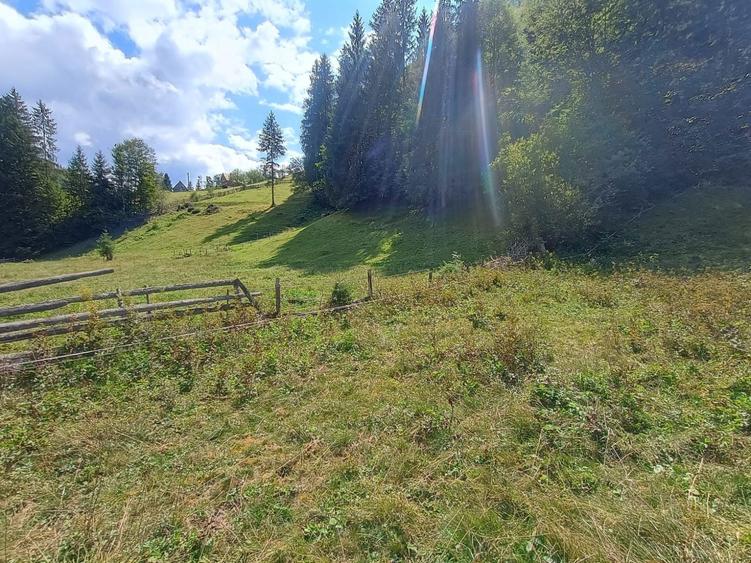 Vand teren pentru cabana Garda de Sus - 6