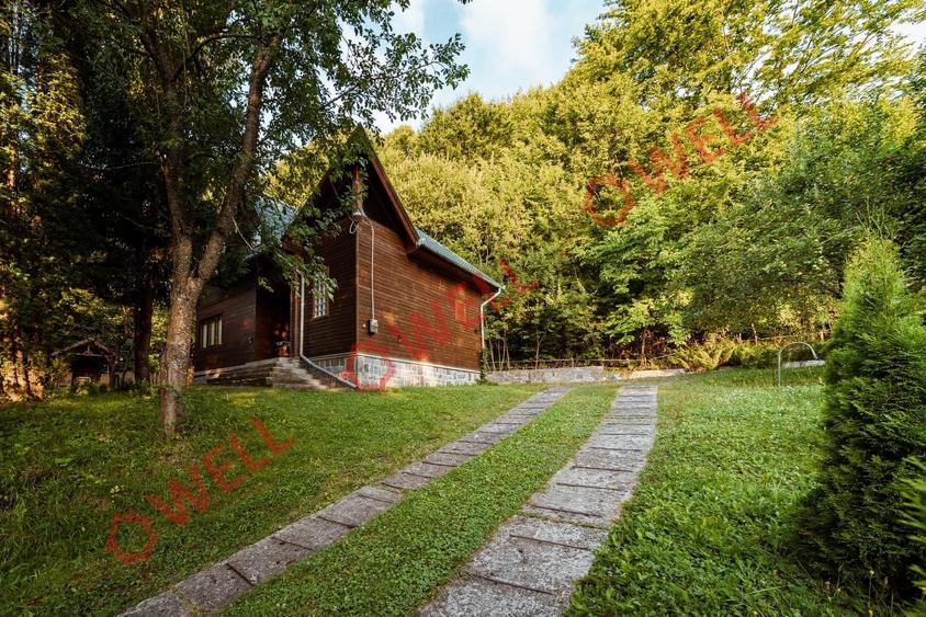 De vânzare casă de vacanță și teren intravilan în Sovata! - 23