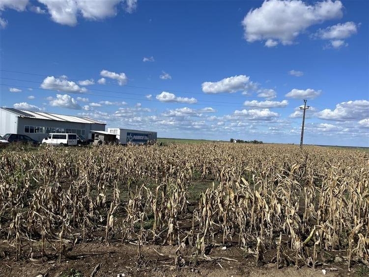 RECO Teren intravilan 1200mp -Livada de Bihor - 7