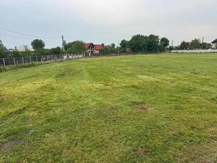 TEREN INTRAVILAN 4045 mp  CACIULATI - MOARA VLASIEI - 6