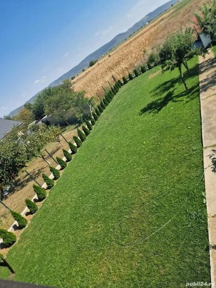 A 49 Vila LUX Letea , 320 mp utili cu 2294 mp teren intravilan - 11