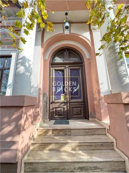 Pache Protopopescu | PROTV | Vizibilitate |  Curte 250 mp | Garaj - 5