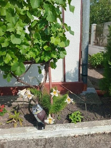 Casă cu panoramă la pădure, aproape de lacul de agrement - 9