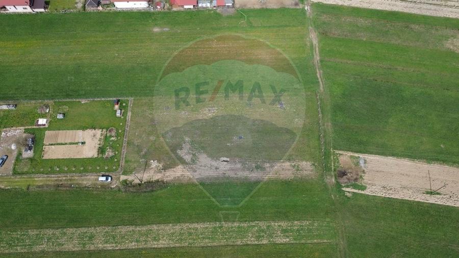 Teren de vânzare intravilan Cătălina - 5