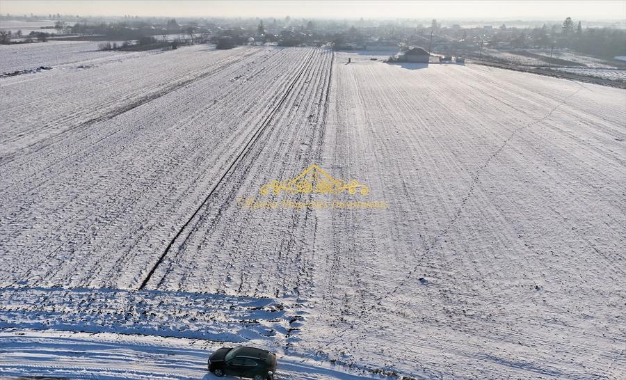Casa demolabila + teren, 7470 mp Trestieni Ulmi - 2