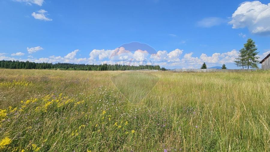 Teren partial intravilan 30,930 mp Poiana Stampei-DN E58, Suceava - 18