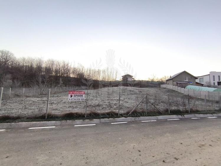 TEREN INTRAVILAN//COM. PLOPU//1300//2700 MP - 5