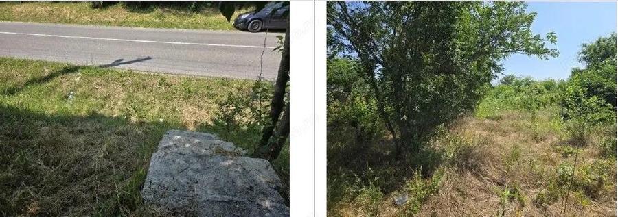 Casa si teren Cucuruzu, ID: R2609648 - 5