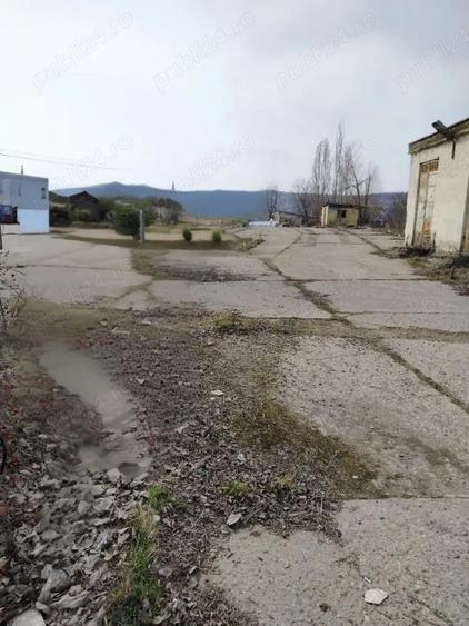 Teren de inchiriat - 3