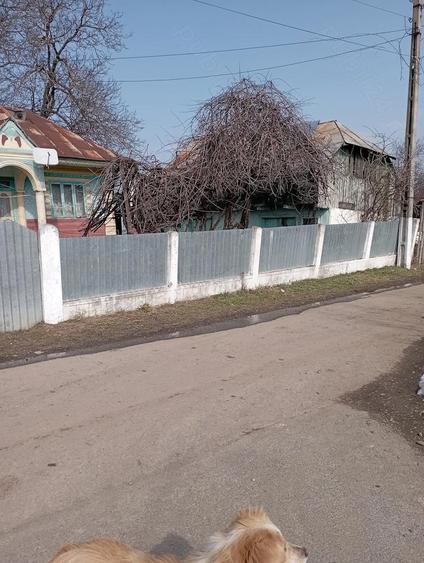 Casa batraneasca ?i teren - 4