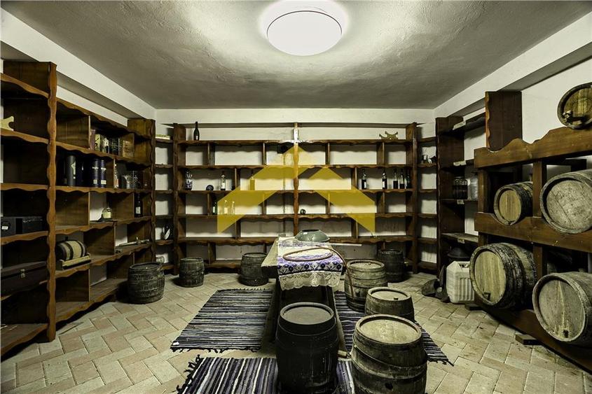 Casa 1000 mp si hala de vanzare Zadareni - 24