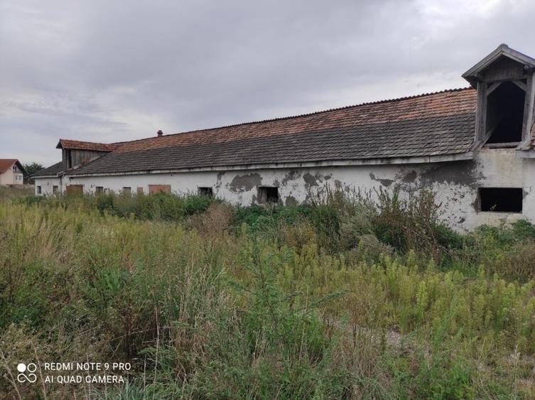 Teren pe fosta ferma a fabricii de zahar Bod - 3