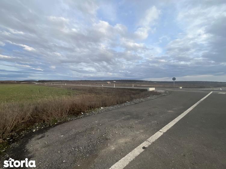 Teren 7481 mp, cu acces facil la Inelul Metropolitan - 6