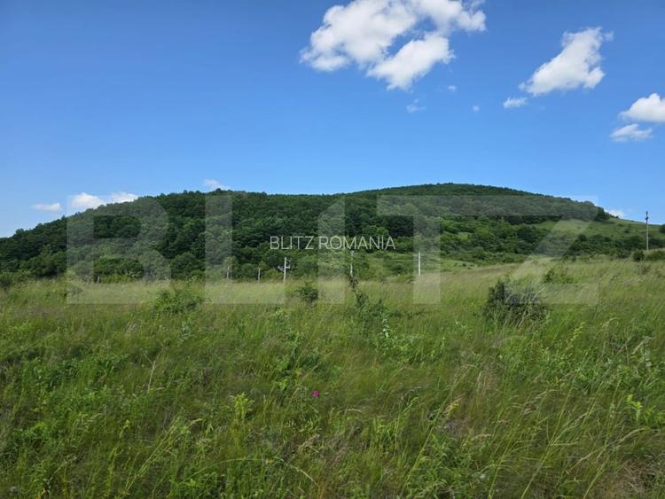 Teren potrivit pentru investitie in zona complexului Domeniul Regilor. Teren potrivit pentru investitie in zona complexului Domeniul Regilor.