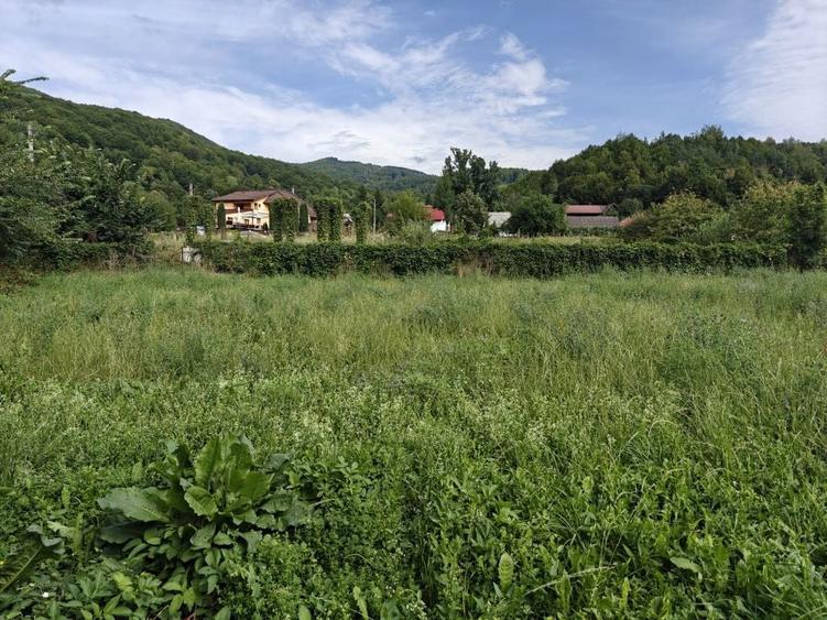 De vanzare teren cu casa in Slanic Moldova - 4
