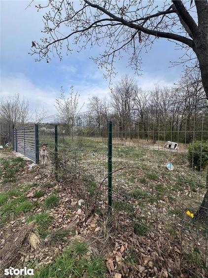 RECO Teren Saldabagiu de Munte - 1