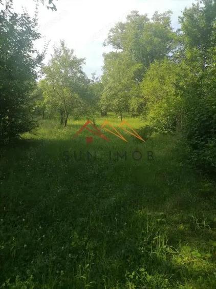 Teren intravilan Municipiul Campina, 1900 mp, investitie - 7