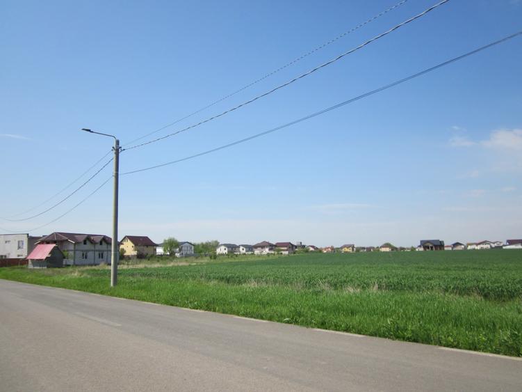 Domnesti-Narciselor - 14