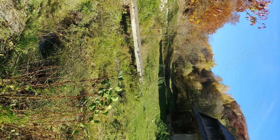 Proprietar - Vand sau Schimb - Casa si teren in Preluca Noua - Maramures - 3