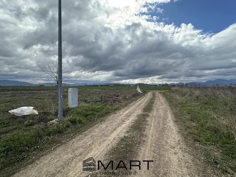 Teren intravilan 520 mp Harman - 4