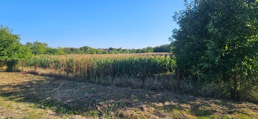 Gelu [Varias] – Teren Intravilan - 3