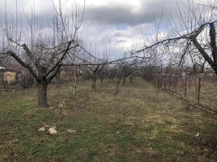 Casa  cu imbunatatiri, curte + livada Drajna de Jos / Prahova! - 9