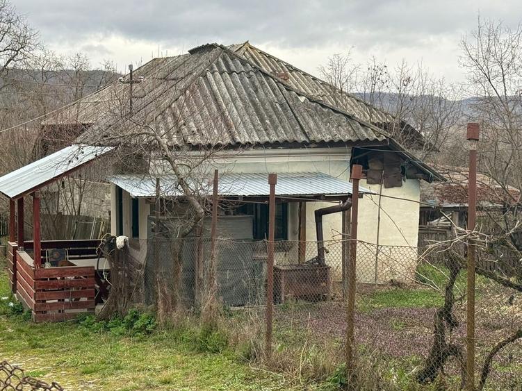 Casa + teren + spatiu comercial - Cosesti, Arges (Jupanesti) - 5