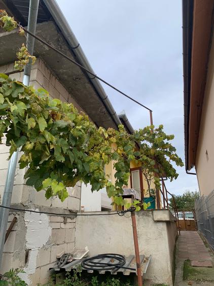 Casa de vanzare - BLAJ - 3