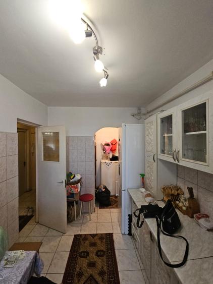 Alexandria centru Penny - 9