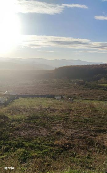 Teren intravilan sat Ciurila 1000 m - 4