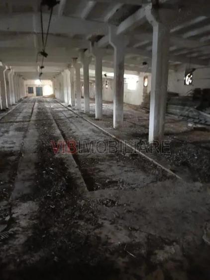 Timis - Or?i?oara, hala industriala cu etaj de vanzare 2.150 mp, teren 1.880 mp - 1