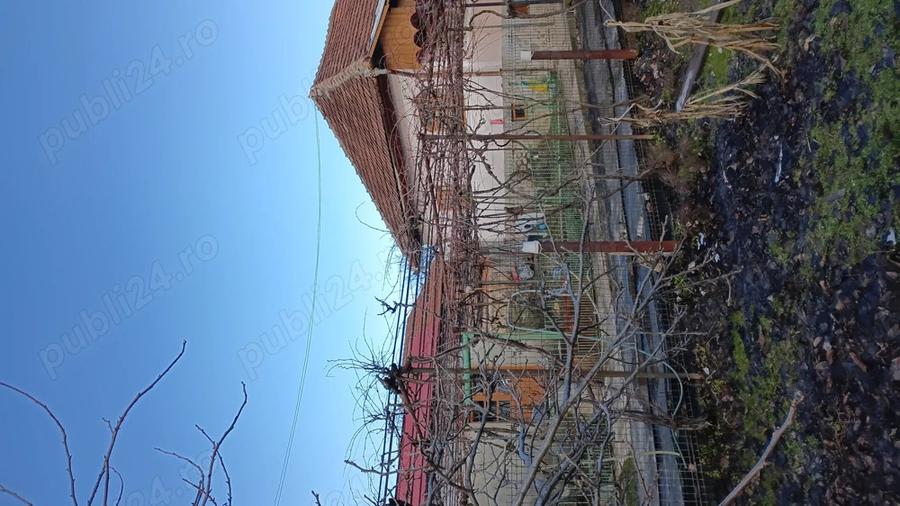 Casa de vanzare cu teren, in centru Rosia de Amaradia, Gorj - 4