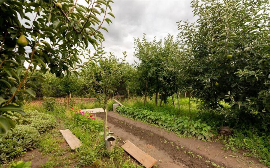 RECO Casa de zona Horia - 10