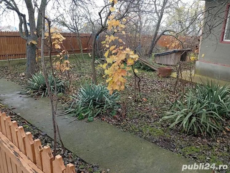 Casa batraneasca Ceamurila de jos - 3