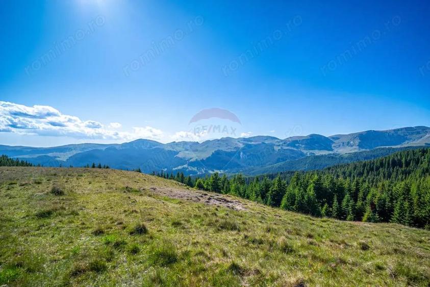 Teren intravilan Transbucegi / Oportunitate de dezvoltare Transbucegi - 10