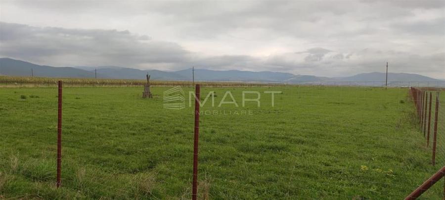 Teren  intravilan cu PUZ 30.000 mp Prejmer - 2