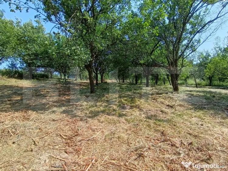 Casă cu 2 camere cu Teren 3350 Mp în Central