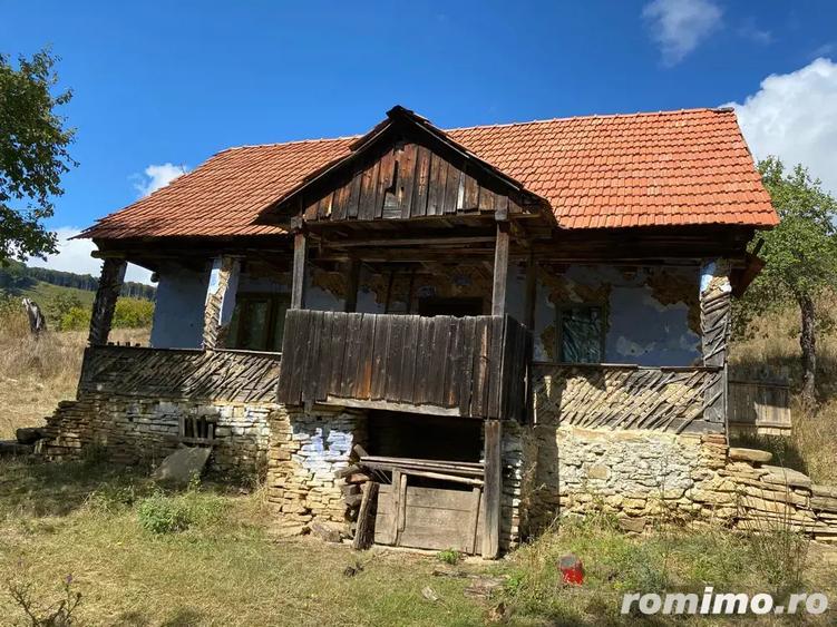 Vand Casa Tradi?ionala cu ?ura - 2