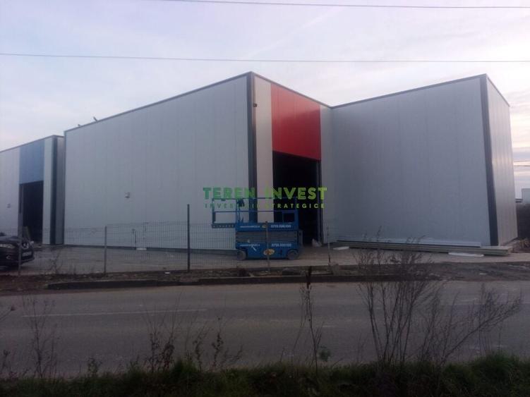 Hala de depozitare - zona Theodor Pallady - 1