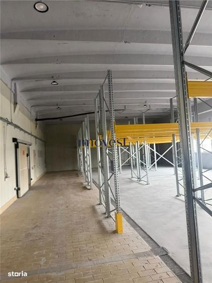 Oportunitate Logistica Premium | Hala 1100 mp | Zona Botizului, Satu - 8
