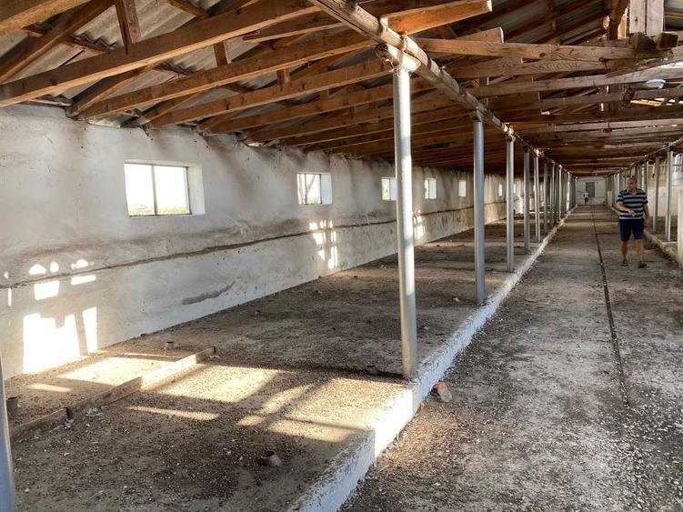 Teren Dezvoltare Hale/Industrial - 4